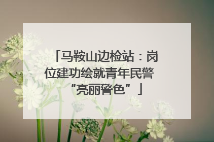 马鞍山边检站：岗位建功绘就青年民警“亮丽警色”