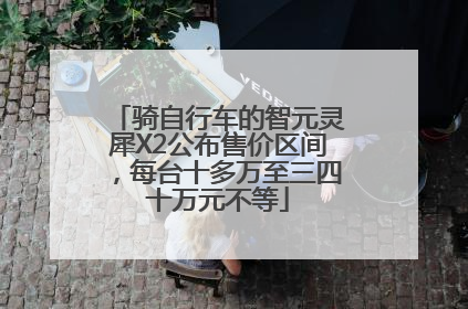 骑自行车的智元灵犀X2公布售价区间，每台十多万至三四十万元不等
