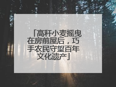 高秆小麦摇曳在房前屋后，巧手农民守望百年文化遗产