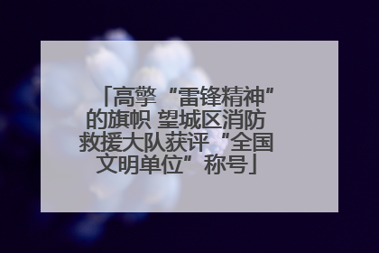 高擎“雷锋精神”的旗帜 望城区消防救援大队获评“全国文明单位”称号