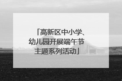 高新区中小学、幼儿园开展端午节主题系列活动