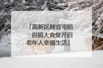 高新区顾官屯镇：供销大食堂开启老年人幸福生活