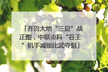 齐鲁大地“三夏”战正酣，中联重科“谷王”机手减损比武夺魁