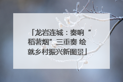 龙岩连城：奏响“稻薯烟”三重奏 绘就乡村振兴新图景