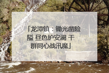 龙潭镇：锄光凿险隘 昼色护安澜 干群同心战汛魔
