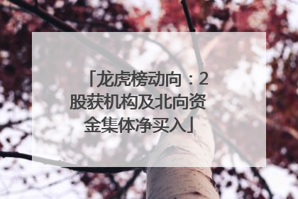 龙虎榜动向：2股获机构及北向资金集体净买入