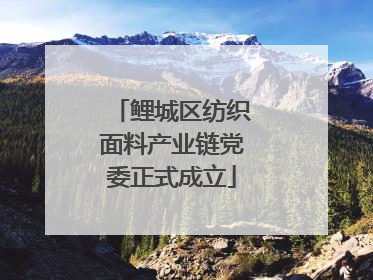 鲤城区纺织面料产业链党委正式成立