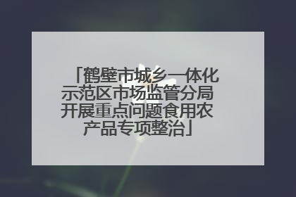 鹤壁市城乡一体化示范区市场监管分局开展重点问题食用农产品专项整治