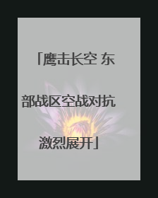 鹰击长空 东部战区空战对抗激烈展开