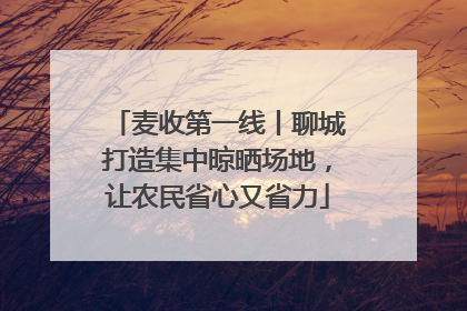 麦收第一线丨聊城打造集中晾晒场地，让农民省心又省力