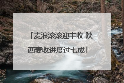 麦浪滚滚迎丰收 陕西麦收进度过七成