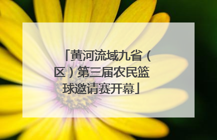 黄河流域九省（区）第三届农民篮球邀请赛开幕