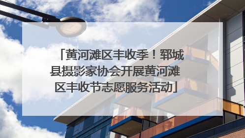 黄河滩区丰收季！郓城县摄影家协会开展黄河滩区丰收节志愿服务活动