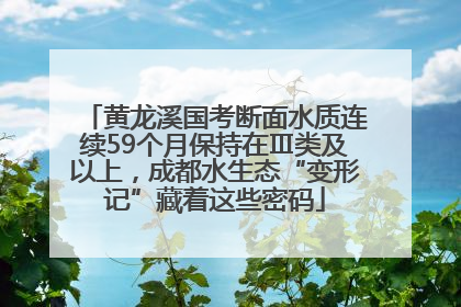 黄龙溪国考断面水质连续59个月保持在Ⅲ类及以上，成都水生态“变形记”藏着这些密码