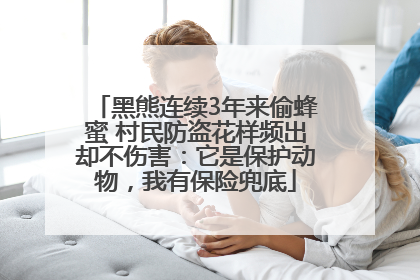 黑熊连续3年来偷蜂蜜 村民防盗花样频出却不伤害：它是保护动物，我有保险兜底
