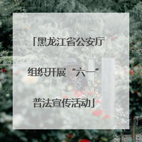 黑龙江省公安厅组织开展“六一”普法宣传活动