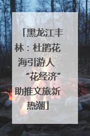黑龙江丰林：杜鹃花海引游人 “花经济”助推文旅新热潮