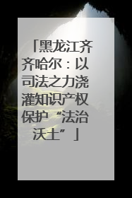 黑龙江齐齐哈尔：以司法之力浇灌知识产权保护“法治沃土”