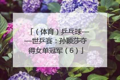 （体育）乒乓球——世乒赛：孙颖莎夺得女单冠军（6）