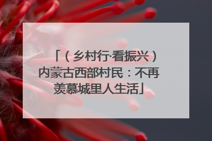 （乡村行·看振兴）内蒙古西部村民：不再羡慕城里人生活