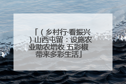 （乡村行·看振兴）山西屯留：设施农业助农增收 五彩椒带来多彩生活
