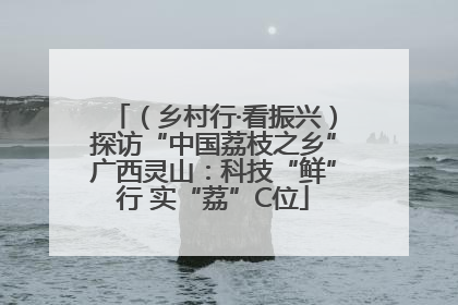 （乡村行·看振兴）探访“中国荔枝之乡”广西灵山：科技“鲜”行 实“荔”C位