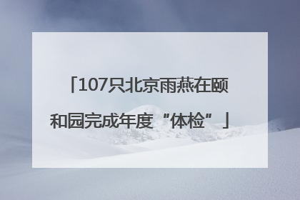 107只北京雨燕在颐和园完成年度“体检”