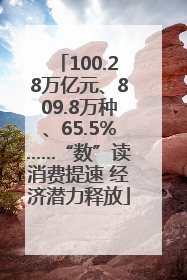 100.28万亿元、809.8万种、65.5%……“数”读消费提速 经济潜力释放