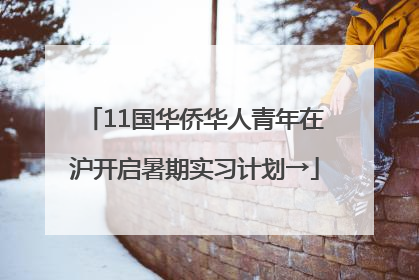 11国华侨华人青年在沪开启暑期实习计划→