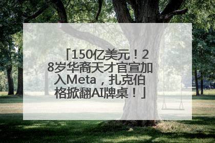 150亿美元！28岁华裔天才官宣加入Meta，扎克伯格掀翻AI牌桌！