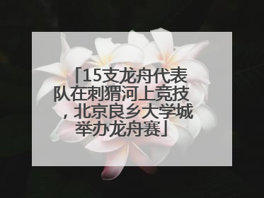 15支龙舟代表队在刺猬河上竞技，北京良乡大学城举办龙舟赛