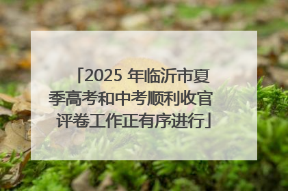 2025 年临沂市夏季高考和中考顺利收官 评卷工作正有序进行