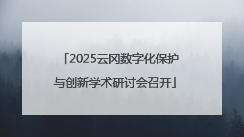 2025云冈数字化保护与创新学术研讨会召开