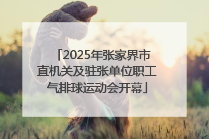 2025年张家界市直机关及驻张单位职工气排球运动会开幕