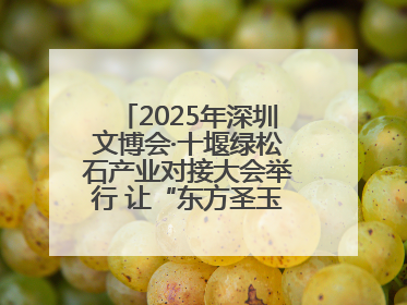 2025年深圳文博会·十堰绿松石产业对接大会举行 让“东方圣玉”闪耀世界