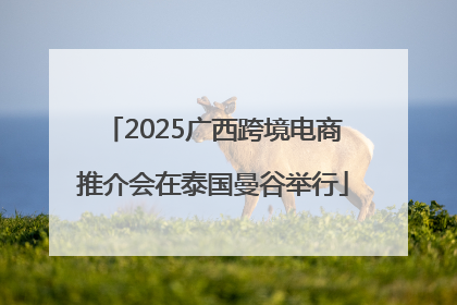2025广西跨境电商推介会在泰国曼谷举行