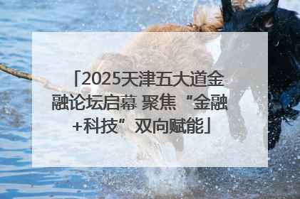 2025天津五大道金融论坛启幕 聚焦“金融+科技”双向赋能