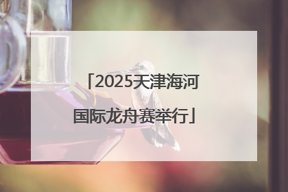 2025天津海河国际龙舟赛举行