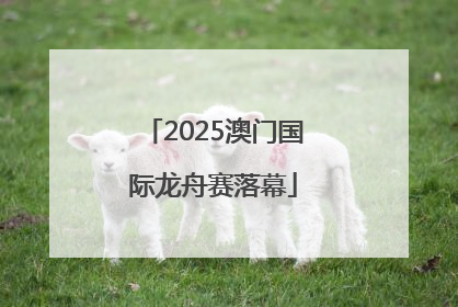 2025澳门国际龙舟赛落幕