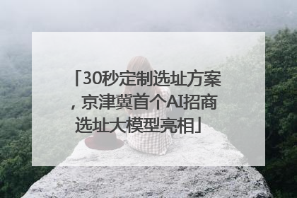 30秒定制选址方案，京津冀首个AI招商选址大模型亮相