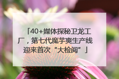 40+媒体探秘卫龙工厂，第七代魔芋爽生产线迎来首次“大检阅”