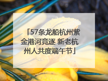 57条龙船杭州紫金港河竞逐 新老杭州人共度端午节