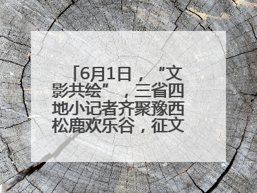 6月1日，“文影共绘”，三省四地小记者齐聚豫西松鹿欢乐谷，征文暨短视频大赛精彩启幕！