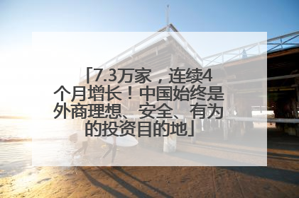 7.3万家，连续4个月增长！中国始终是外商理想、安全、有为的投资目的地