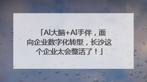 AI大脑+AI手伴，面向企业数字化转型，长沙这个企业太会整活了！