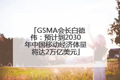 GSMA会长白德伟：预计到2030年中国移动经济体量将达2万亿美元