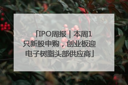 IPO周报｜本周1只新股申购，创业板迎电子树脂头部供应商
