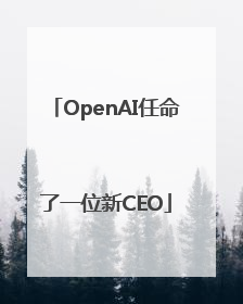 OpenAI任命了一位新CEO