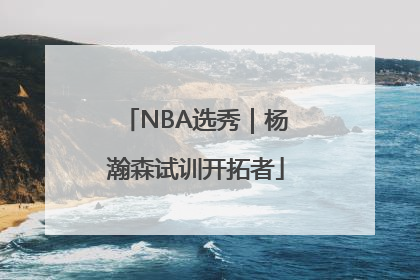 NBA选秀｜杨瀚森试训开拓者